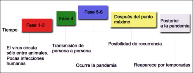 Gráfico de las 6 fases de alerta pandémica de la OMS